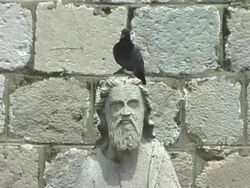 Religious Pigeon Stock Footage