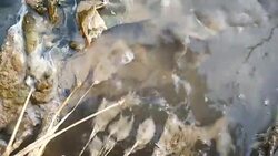 wast water into river Stock Footage