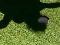 Winning Putt Stock Footage