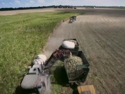 Soya plantation/ Agricultura /plantaÃƒÂ§ÃƒÂ£o de soja /Rio Grande do Norte Stock Footage