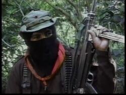 MEXICO: NATIONWIDE POLL URGES ZAPATISTA REBELS TO LAY DOWN ARMS News Clip