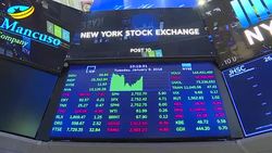 CLEAN : Wall Street on Cloud Nine since Trump's election News Clip