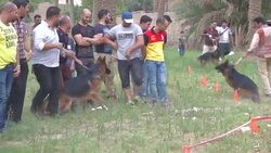 Dog show a first for war-torn Iraq Instructional Video