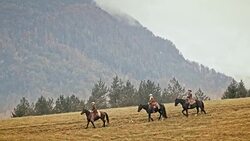 Two cowboys and cowgirl riding horses down the mountain Stock Footage