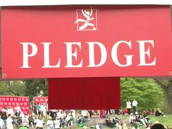 12th Annual EIF Revlon Run/Walk for Women in New York City Stock Footage