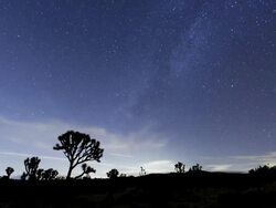 MS T/L Clouds over park / Joshua Tree National Park, CA, United States  Stock Footage