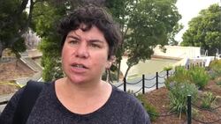 Three shot in San Francisco park Instructional Video