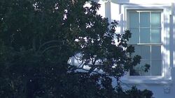 White House from South Lawn News Clip