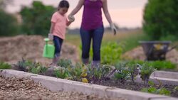 Watering the Plants at Dusk Stock Footage