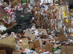 Shifting Cardboard Waste in a Recycling Center PAN Stock Footage
