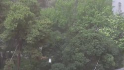 A heavy dust storm roared into Iran's capital Tehran on Monday, blacking out the sun in a swirling cloud and tearing down trees in a squall that reportedly killed at least four people and injured 30 more. (June 2) News Clip