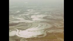 News Item (bbefcd6b-29bc-bee1-a897-477169f50d10) Instructional Video