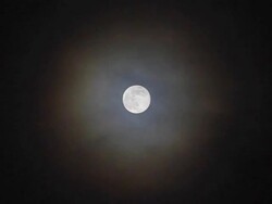 Full Moon Stock Footage