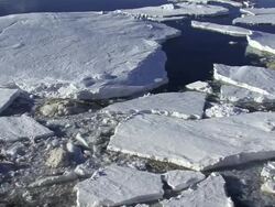 MS Shot of broken ice in sea / Antarctica Stock Footage