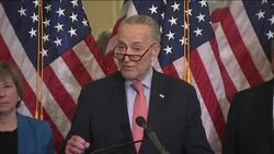 Schumer: Trump Should Lead and Unite News Clip