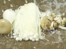 Rinsing Organic Mushroom : HD Slow motion Stock Footage