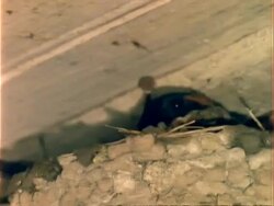 CU Barn Swallow repairs nest with mud, USA Stock Footage