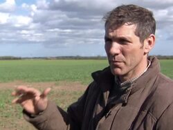 EU Vote to Ban Harmful Bee Pesticides News Clip