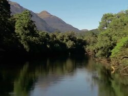 LOW AERIAL, River, Fiordland National Park, New Zealand Stock Footage