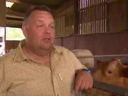 Farmers struggling with sunny weather News Clip