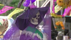 Artwork, altars, skeletal figures and traditional offerings in celebration of Day of the Dead began to fill Mexico City's Zocalo Plaza  on Thursday ahead of the festivities. News Clip