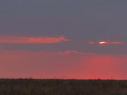WS T/L View of sunset   / Central Kalahari Game Reserve, Botswana Stock Footage