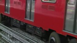 VOICED : Segunda oportunidad para perros rescatados del metro en Mexico News Clip