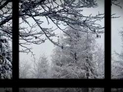Winter Wonderland from inside - Version 3 Stock Footage