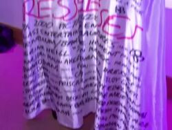 27 Dresses London Premiere Stock Footage