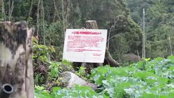 VOICED : Development ravages Malaysia's Little Eng News Clip