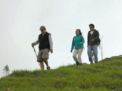 MS TS Couple and tour guide going down hill on Andes mountains / Salento, Quindio, Colombia Stock Footage