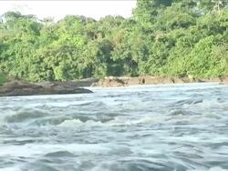 The motion of water current, vegetation at the background Stock Footage