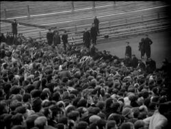 SCOTLAND BEAT SPRINGBOKS News Clip