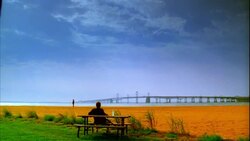 A man watches from a picnic table as another man walks along a beach. Stock Footage