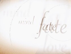 The Lines Of a Hand Stock Footage