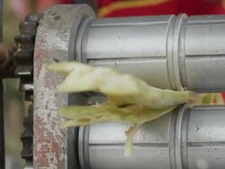 CU Sugarcane coming out through pressing machine / Vang Vieng, Vientiane, Laos Stock Footage