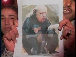 Thousands rally in support of Palestinians, ambassadors comment News Clip