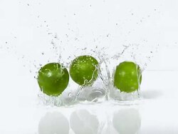 CU SLO MO Shot of Green Lemons, citrus aurantifolia, Fruits falling on Water and splashing against White Background / Calvados, Normandy, France Stock Footage