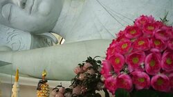 Lying Buddha Stock Footage