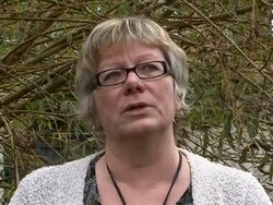 VOICED: Do pets pollute the environment? News Clip