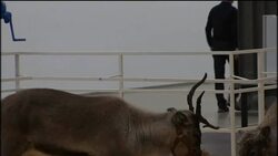 Spending the night at a museum News Clip