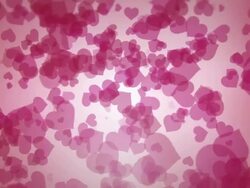 pink hearts Stock Footage