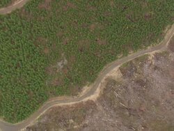 WS AERIAL View of forests of mt hood / Oregon, United States Stock Footage