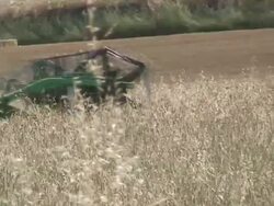 Combine harvester Stock Footage