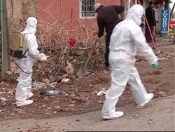 More suspected poultry deaths, govt confirm H5N1 virus killed 170 fowl News Clip