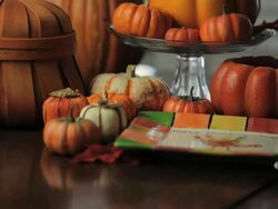 Thanksgiving Pumpkins Stock Footage