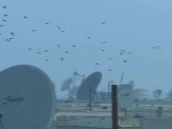 MS Shot of sunrise with birds flying over parabolas / Le Le Caire, China Stock Footage