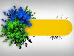 Colorful Flowers and Message Box Stock Footage