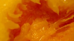 Ultra close up tropical mango fruit slowly turning Stock Footage