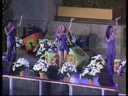 ENTERTAINMENT DAILY: ENT4- ROCKEFELLER XMAS TREE News Clip